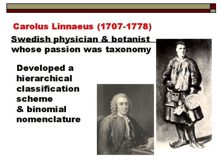 Carolus Linnaeus (1707 -1778) Swedish physician & botanist whose passion was taxonomy Developed a