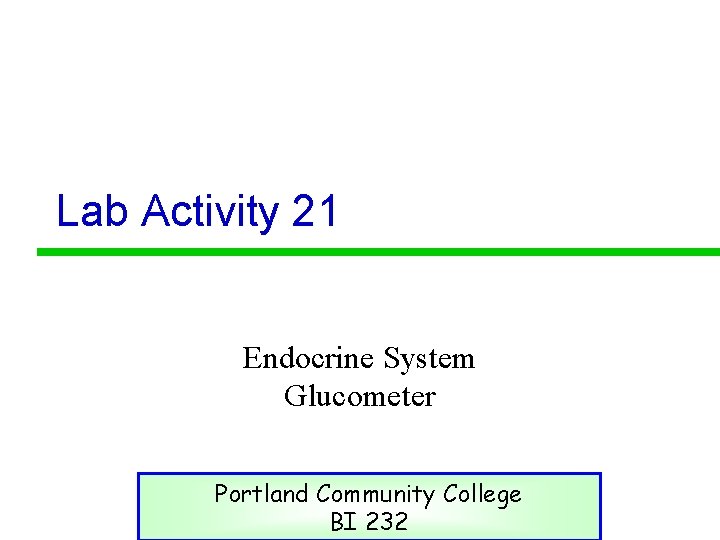 Lab Activity 21 Endocrine System Glucometer Portland Community College BI 232 