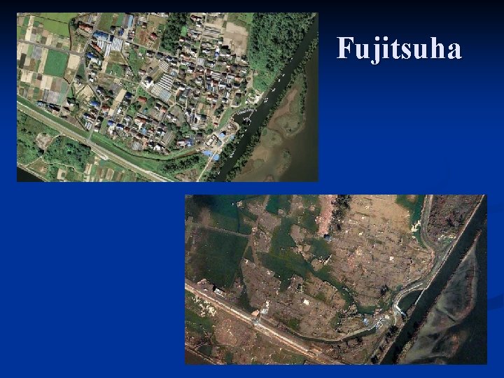 Fujitsuha 