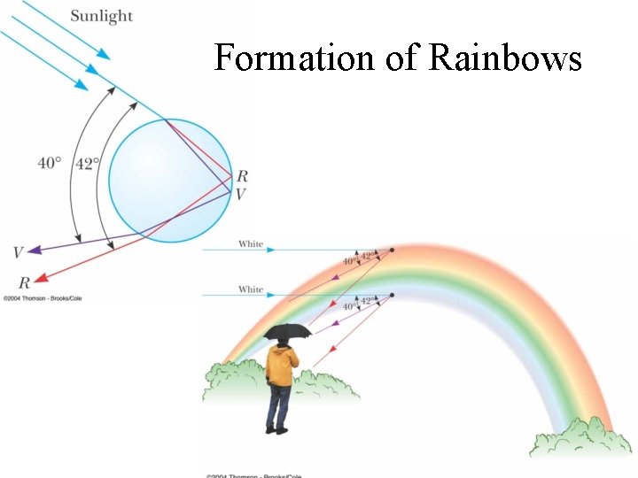 Formation of Rainbows 