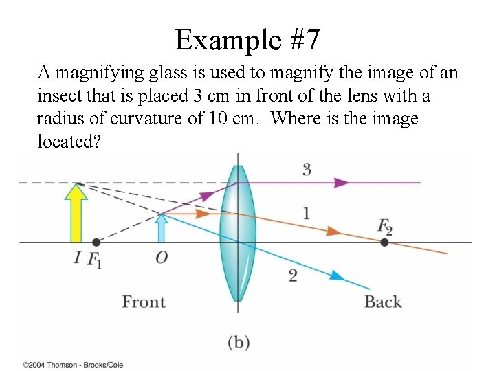 Example #7 A magnifying glass is used to magnify the image of an insect