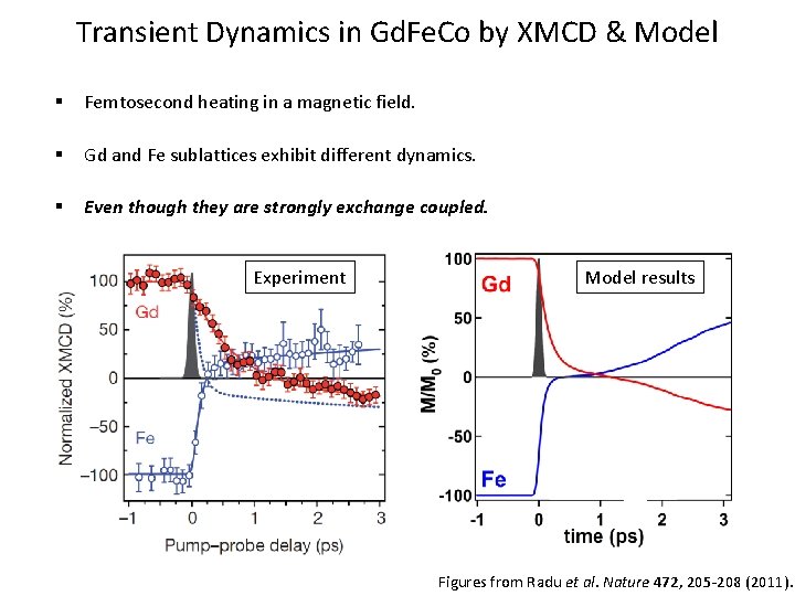 Transient Dynamics in Gd. Fe. Co by XMCD & Model § Femtosecond heating in