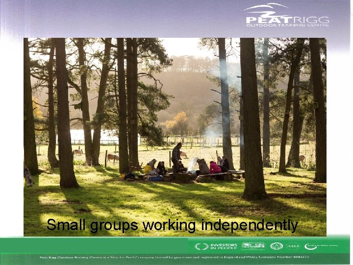 Small groups working independently Small groups working independently