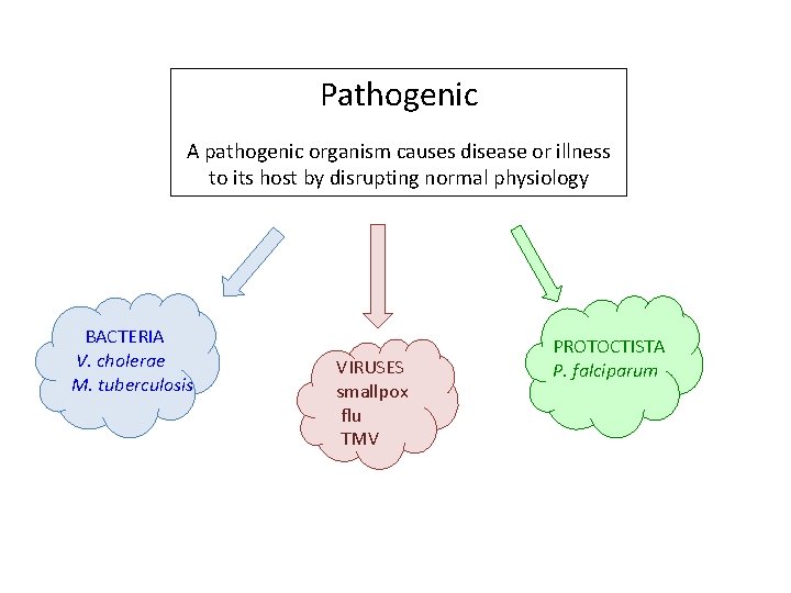 Pathogenic A pathogenic organism causes disease or illness to its host by disrupting normal