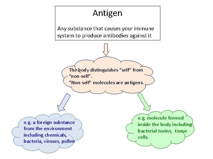 Antigen Any substance that causes your immune system to produce antibodies against it The