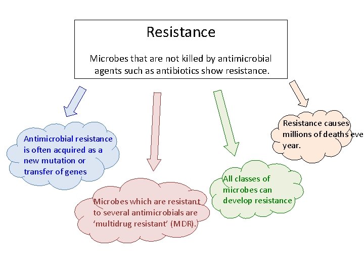 Resistance Microbes that are not killed by antimicrobial agents such as antibiotics show resistance.