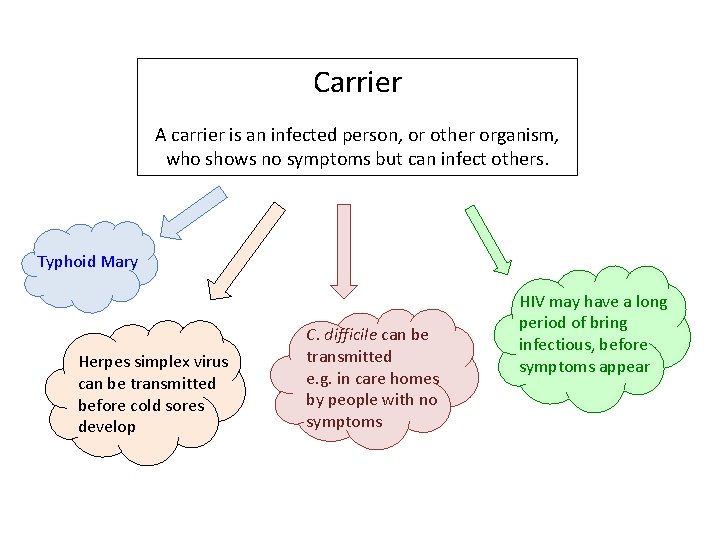 Carrier A carrier is an infected person, or other organism, who shows no symptoms