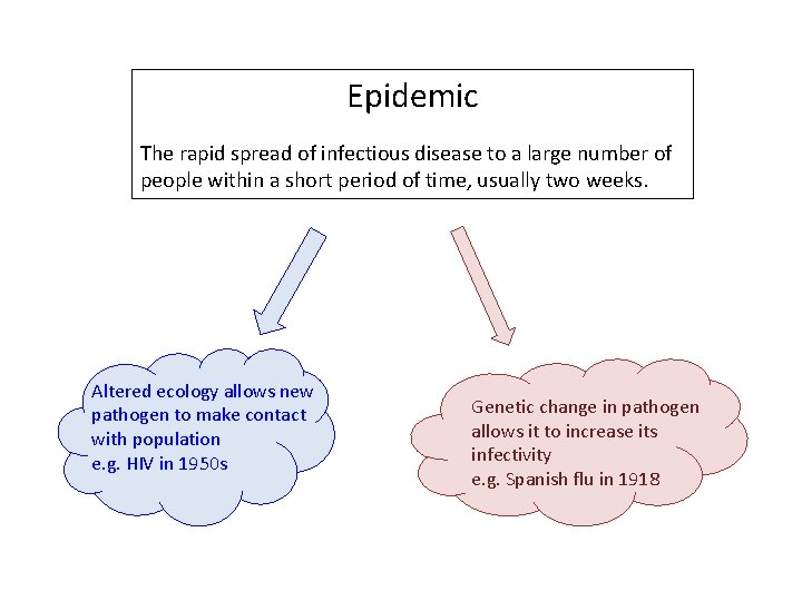 Epidemic The rapid spread of infectious disease to a large number of people within