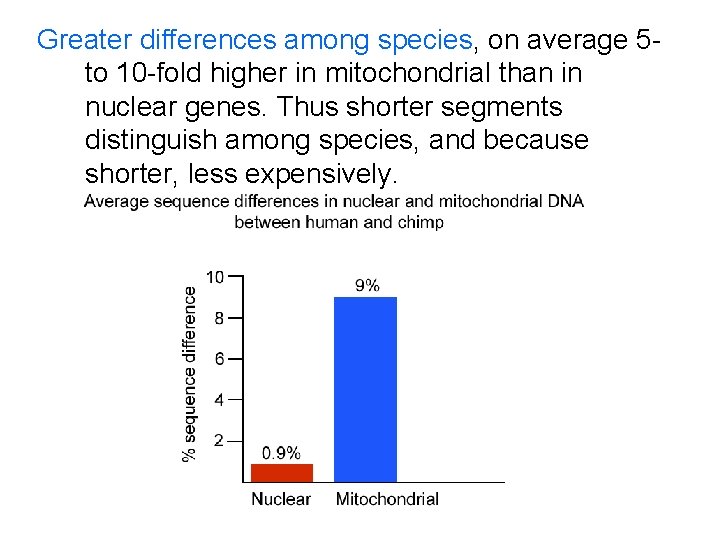Greater differences among species, on average 5 - to 10 -fold higher in mitochondrial