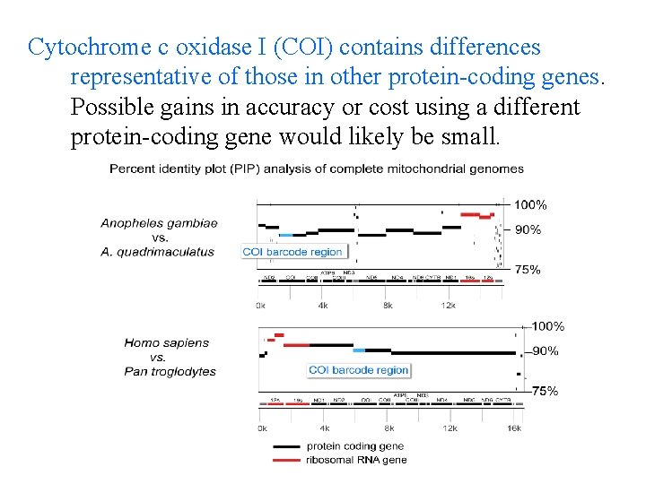 Cytochrome c oxidase I (COI) contains differences representative of those in other protein-coding genes.