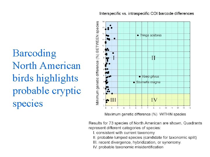Barcoding North American birds highlights probable cryptic species 