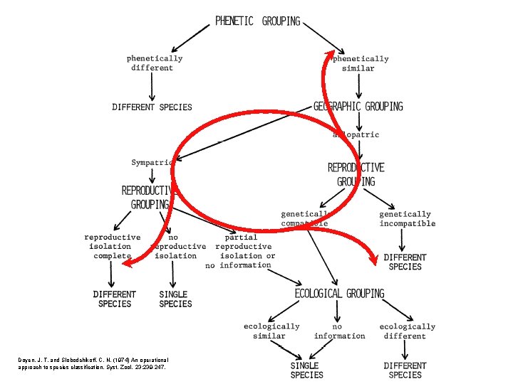 Doyen, J. T. and Slobodchikoff, C. N. (1974) An operational approach to species classification.