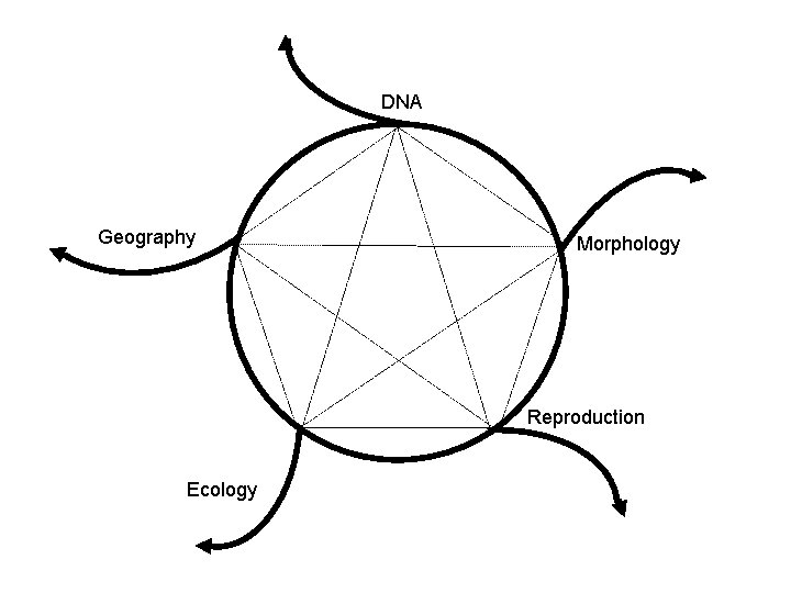 DNA Geography Morphology Reproduction Ecology 