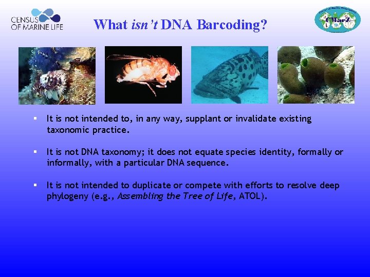 What isn’t DNA Barcoding? § It is not intended to, in any way, supplant