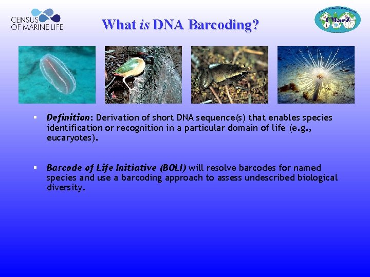 What is DNA Barcoding? § Definition: Derivation of short DNA sequence(s) that enables species