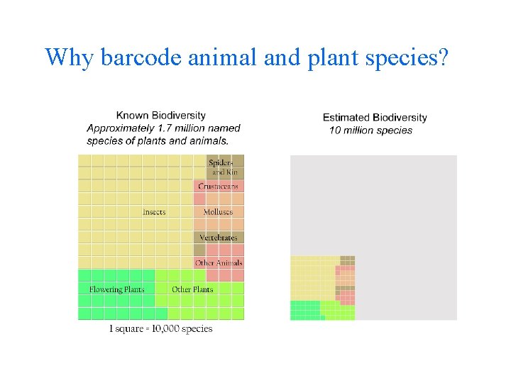 Why barcode animal and plant species? 