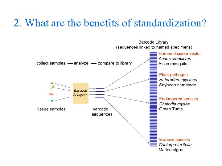 2. What are the benefits of standardization? 