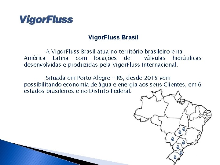 Vigor. Fluss Brasil A Vigor. Fluss Brasil atua no território brasileiro e na América