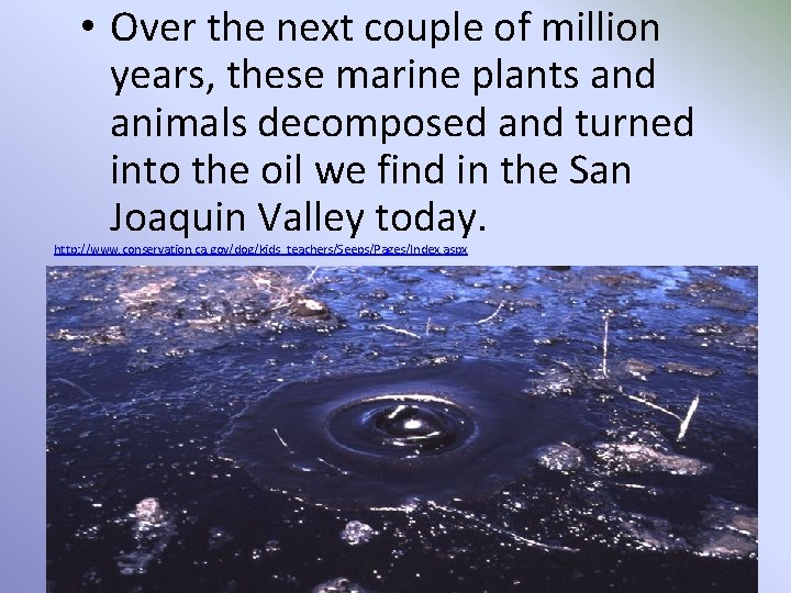 • Over the next couple of million years, these marine plants and animals • Over the next couple of million years, these marine plants and animals