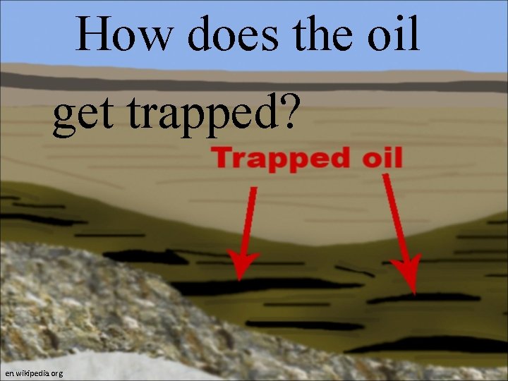 How does the oil get trapped? en. wikipedia. org How does the oil get trapped? en. wikipedia. org