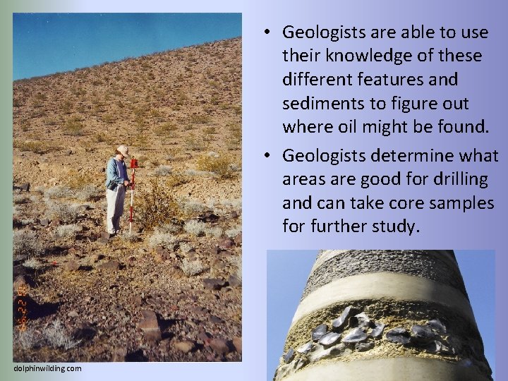 • Geologists are able to use their knowledge of these different features and • Geologists are able to use their knowledge of these different features and