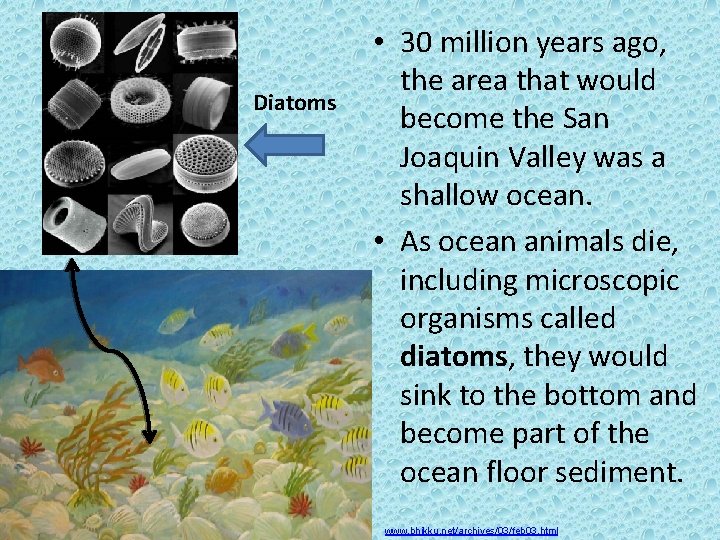 Diatoms • 30 million years ago, the area that would become the San Joaquin Diatoms • 30 million years ago, the area that would become the San Joaquin