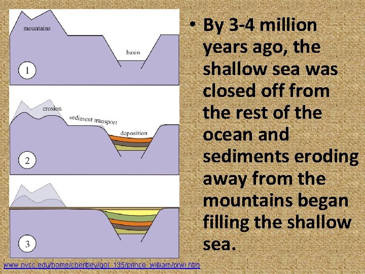 • By 3 -4 million years ago, the shallow sea was closed off • By 3 -4 million years ago, the shallow sea was closed off
