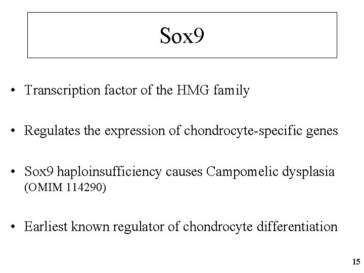 Sox 9 • Transcription factor of the HMG family • Regulates the expression of