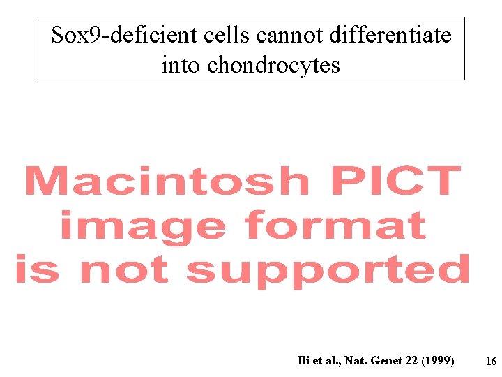 Sox 9 -deficient cells cannot differentiate into chondrocytes Bi et al. , Nat. Genet