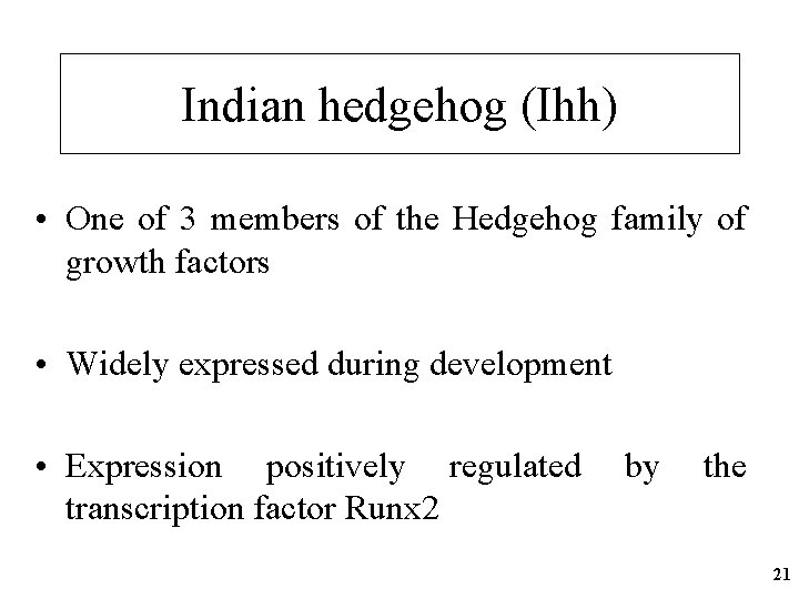 Indian hedgehog (Ihh) • One of 3 members of the Hedgehog family of growth