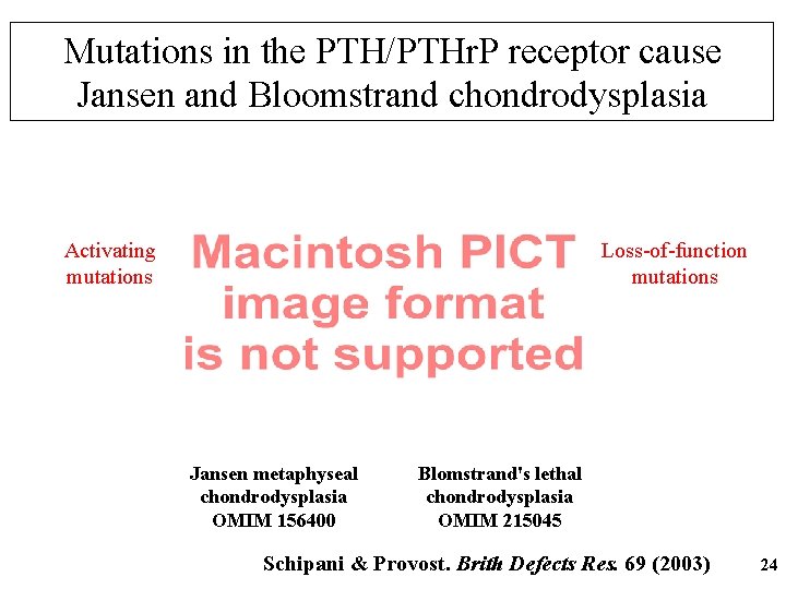 Mutations in the PTH/PTHr. P receptor cause Jansen and Bloomstrand chondrodysplasia Activating mutations Loss-of-function