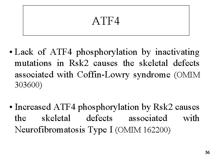 ATF 4 • Lack of ATF 4 phosphorylation by inactivating mutations in Rsk 2