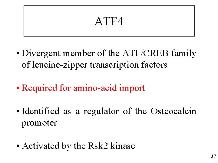 ATF 4 • Divergent member of the ATF/CREB family of leucine-zipper transcription factors •