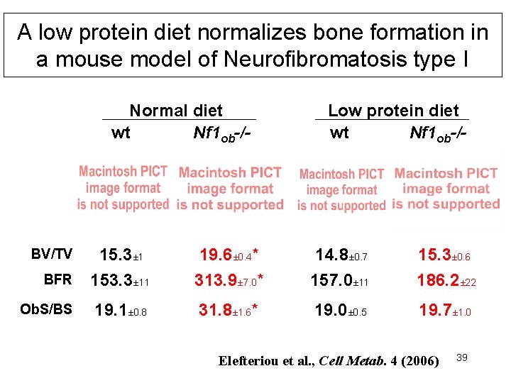 A low protein diet normalizes bone formation in a mouse model of Neurofibromatosis type