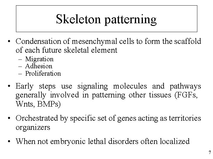 Skeleton patterning • Condensation of mesenchymal cells to form the scaffold of each future