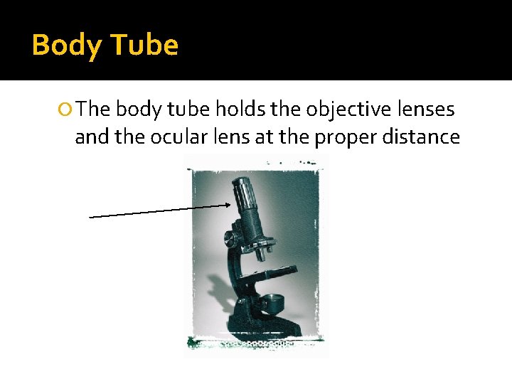 Body Tube The body tube holds the objective lenses and the ocular lens at