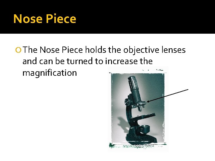 Nose Piece The Nose Piece holds the objective lenses and can be turned to