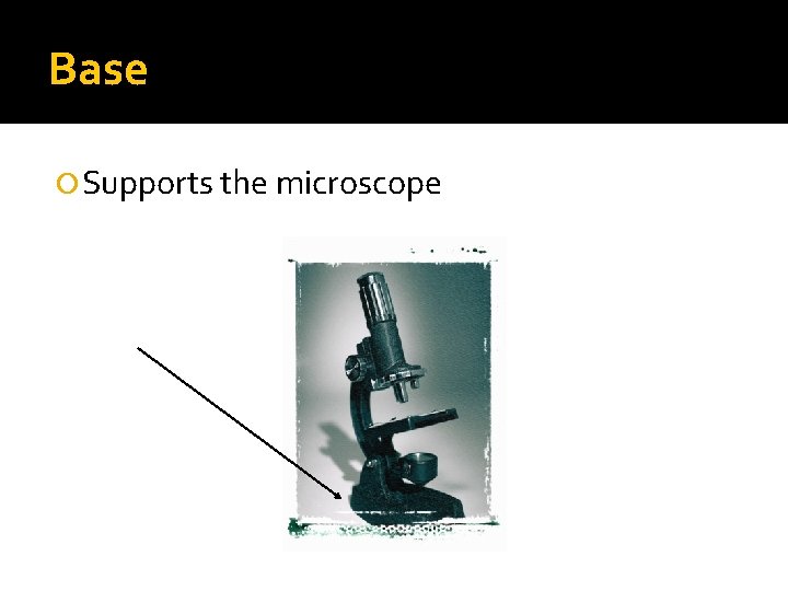 Base Supports the microscope 