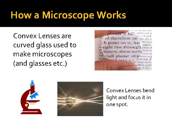 How a Microscope Works Convex Lenses are curved glass used to make microscopes (and