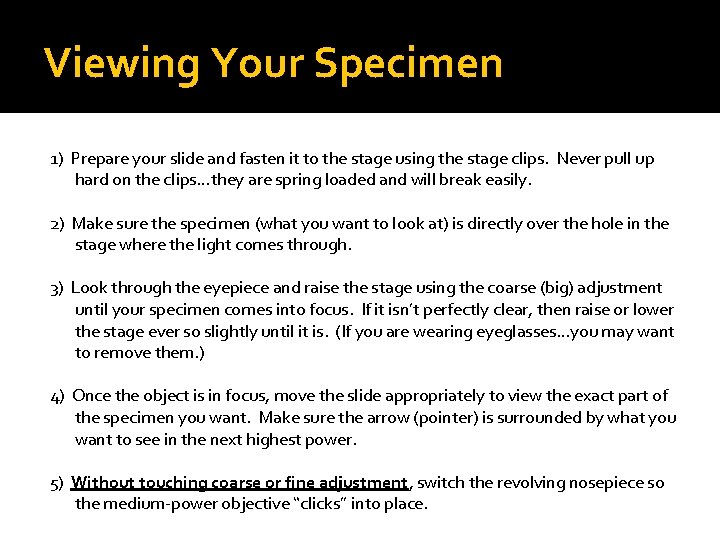 Viewing Your Specimen 1) Prepare your slide and fasten it to the stage using