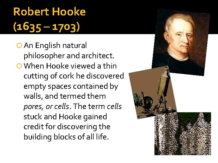 Robert Hooke (1635 – 1703) An English natural philosopher and architect. When Hooke viewed