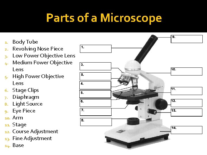 Parts of a Microscope 1. 2. 3. 4. 5. 6. 7. 8. 9. 10.