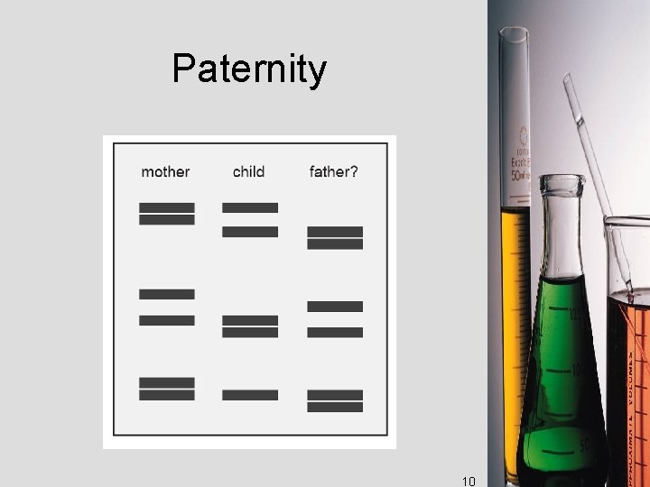 Paternity 10 