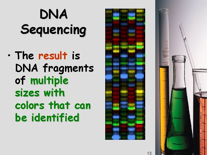 DNA Sequencing • The result is DNA fragments of multiple sizes with colors that