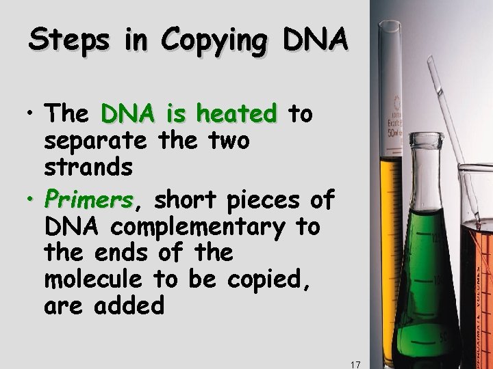 Steps in Copying DNA • The DNA is heated to separate the two strands