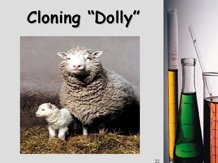 Cloning “Dolly” 22 