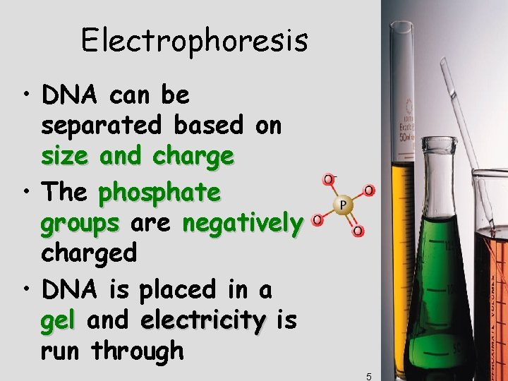 Electrophoresis • DNA can be separated based on size and charge • The phosphate