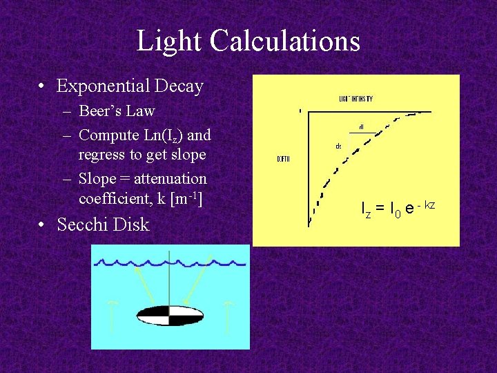 Light Calculations • Exponential Decay – Beer’s Law – Compute Ln(Iz) and regress to