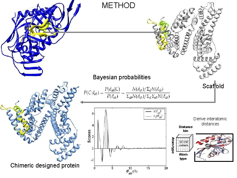 METHOD Bayesian probabilities Scaffold Distance bin Atom type Chimeric designed protein Atom type Derive