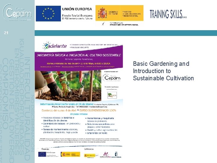 21 Basic Gardening and Introduction to Sustainable Cultivation 